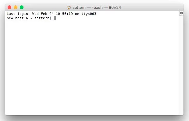 Normal Terminal